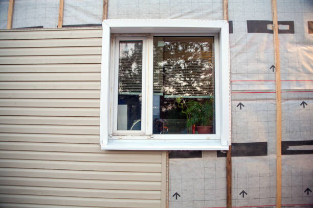 Best Custom Trim and Detailing for Siding  in Edgewater, CO