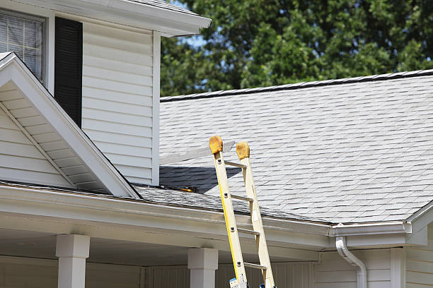 Best Stucco Siding  in Edgewater, CO